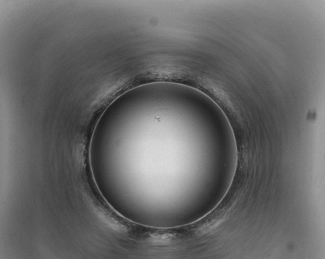 X0000094370450200711091542