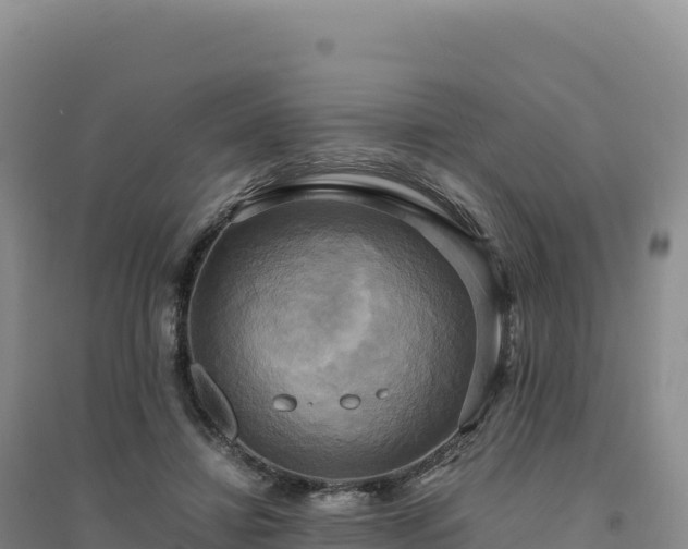 X0000094370452200711091542