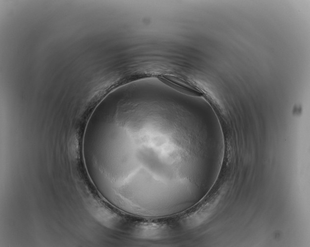 X0000094370453200711091542