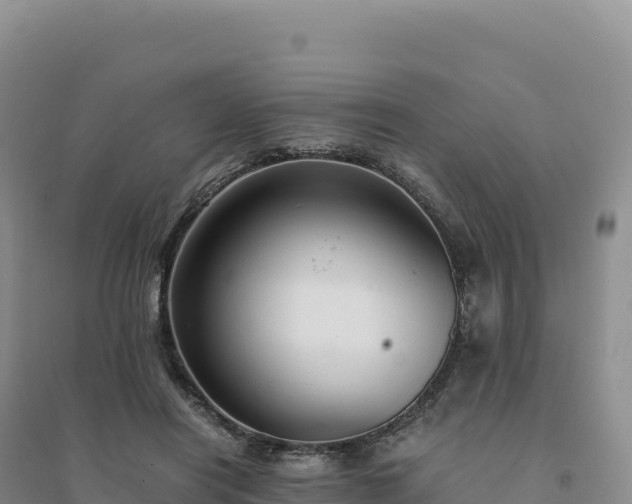 X0000094370454200711091542