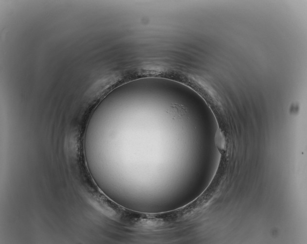 X0000094370455200711091542