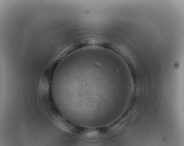 X0000094370456200711091542