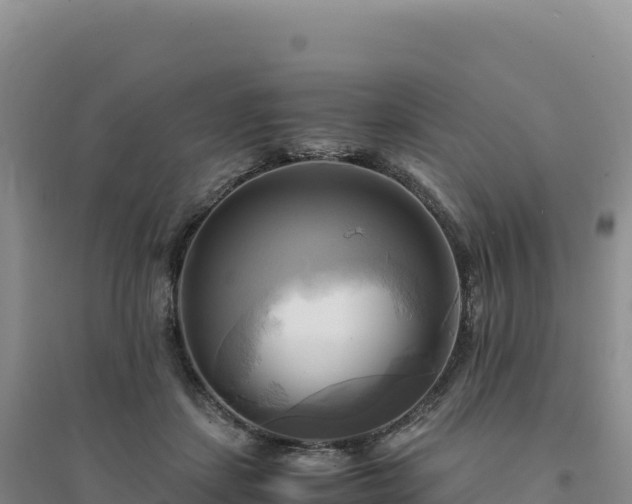 X0000094370459200711091542