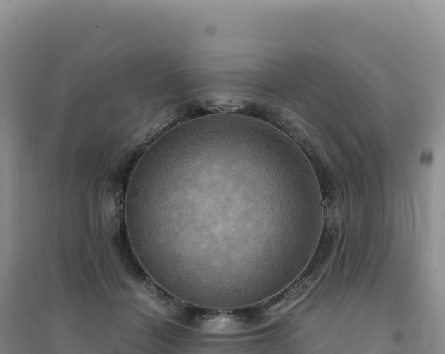 X0000094370460200711091542