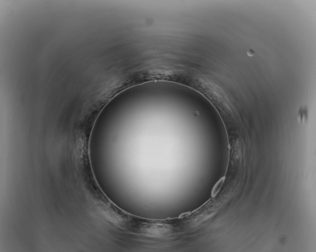 X0000094370463200711091542