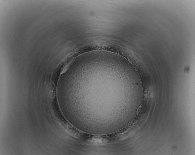 X0000094370464200711091542