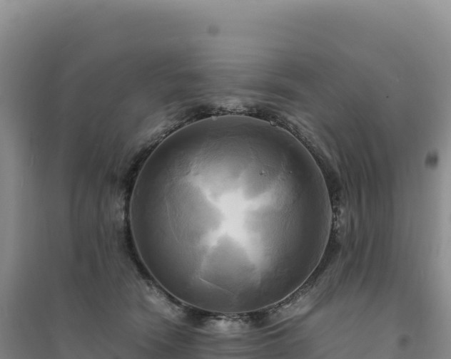 X0000094370466200711091542