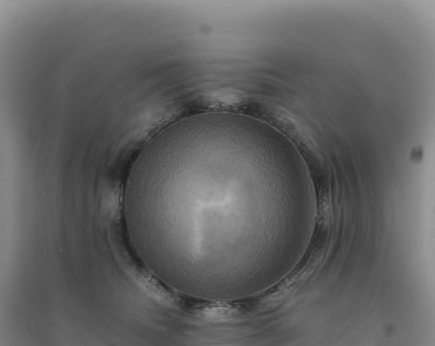 X0000094370468200711091542