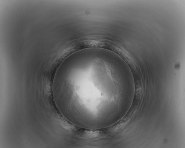 X0000094370469200711091542