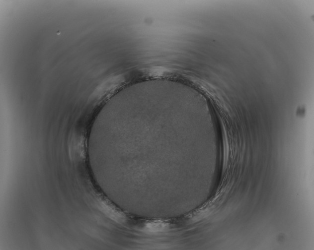 X0000094370470200711091542