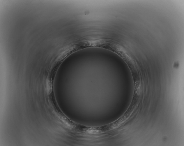 X0000094370471200711091542