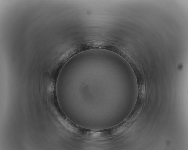 X0000094370472200711091542