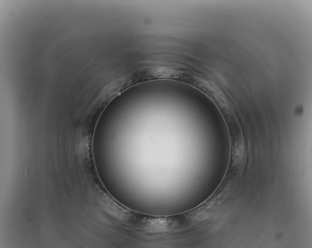 X0000094370473200711091542