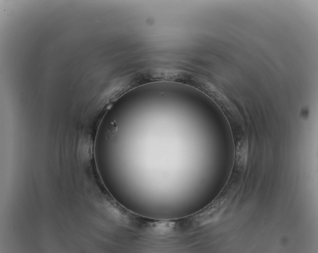 X0000094370474200711091542