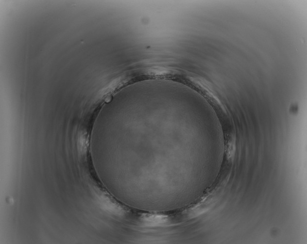 X0000094370476200711091542