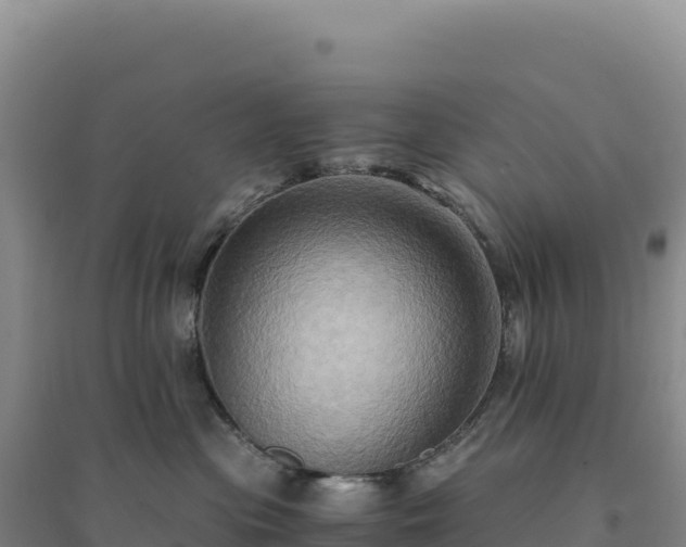 X0000094370477200711091542
