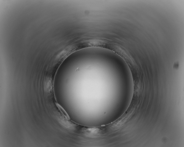 X0000094370478200711091542