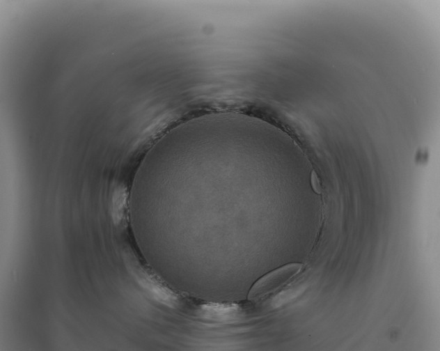 X0000094370480200711091542