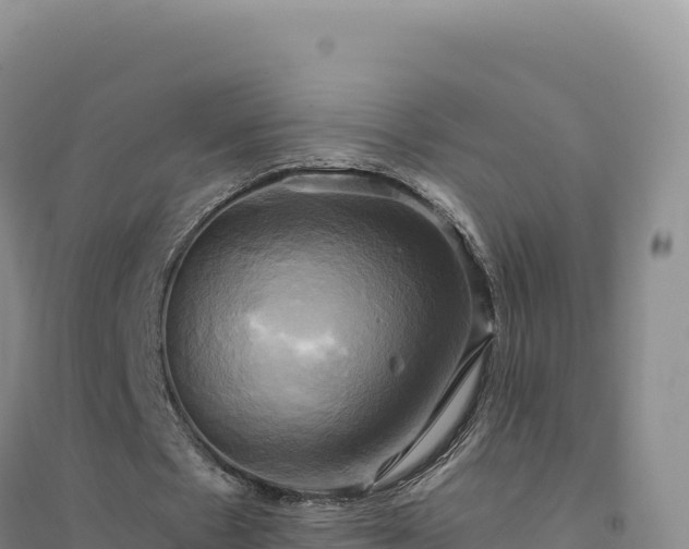 X0000094370481200711091541