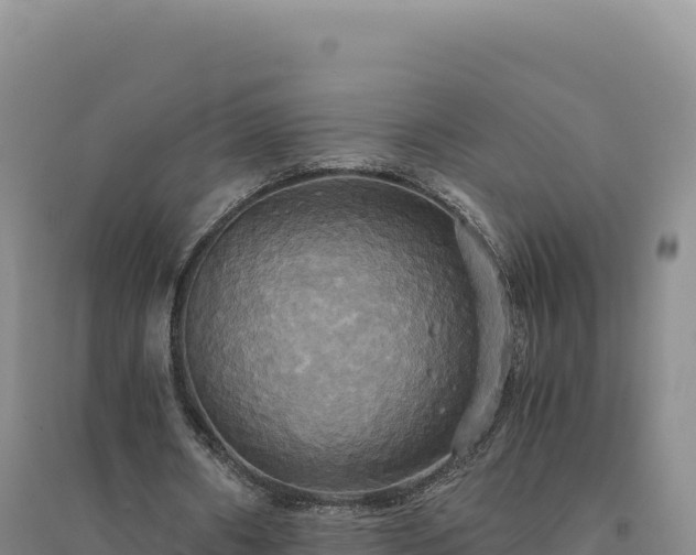 X0000094370482200711091541