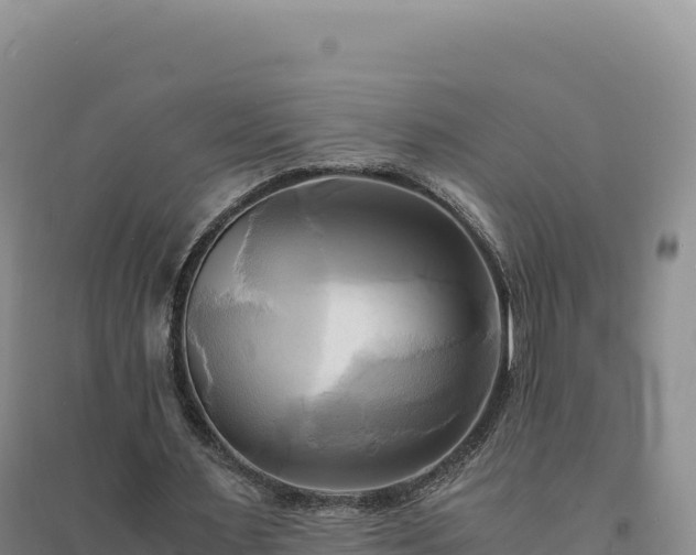 X0000094370483200711091541