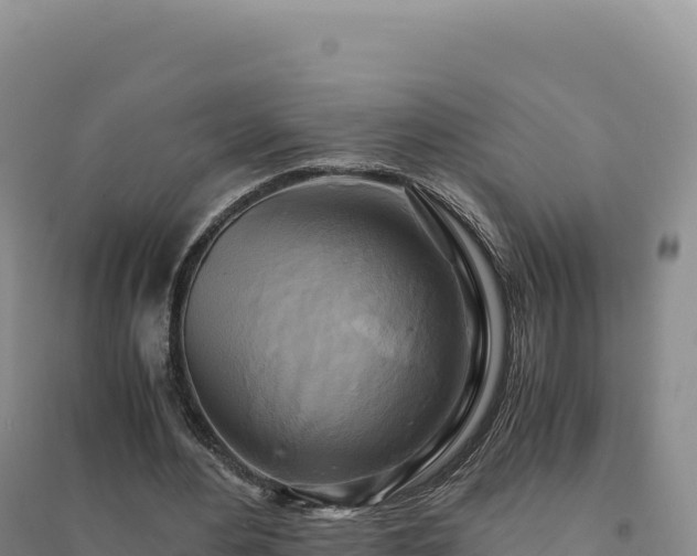 X0000094370484200711091541