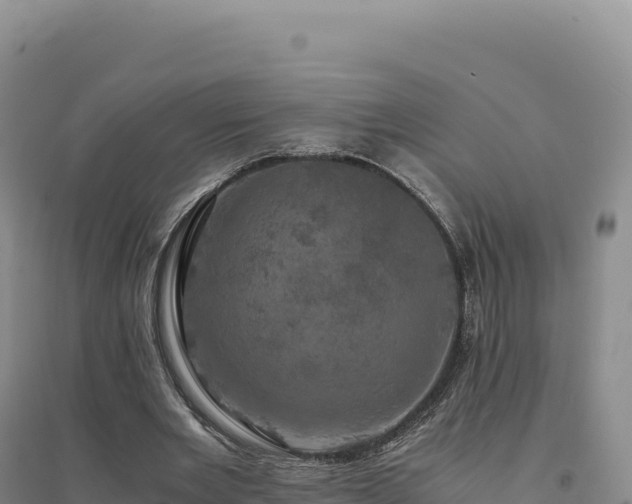 X0000094370485200711091541