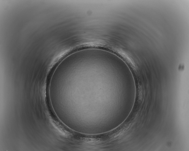 X0000094370486200711091541