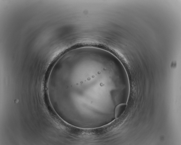 X0000094370487200711091541