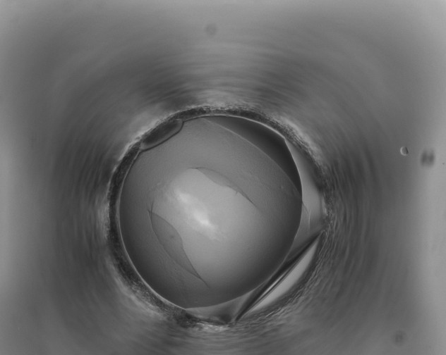 X0000094370488200711091541