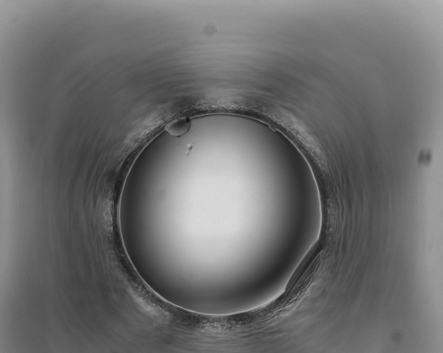 X0000094370489200711091541