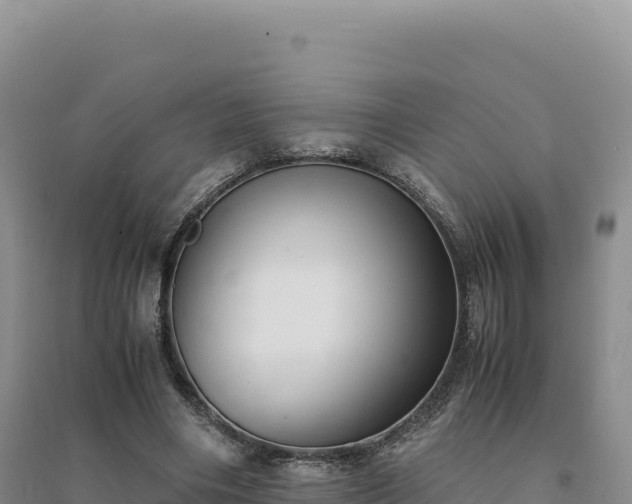X0000094370490200711091541
