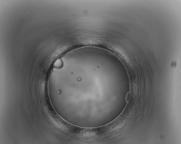 X0000094370491200711091541