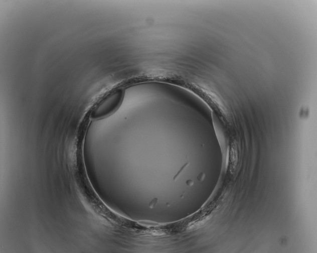 X0000094370492200711091541