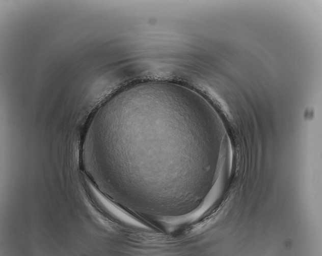 X0000094370493200711091541