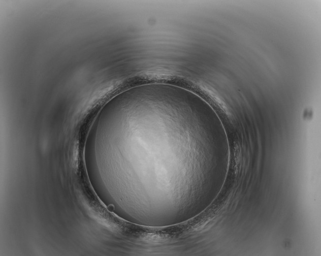 X0000094370494200711091541