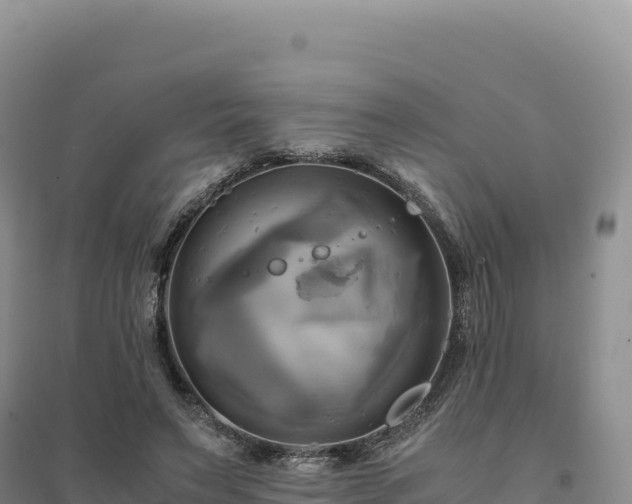 X0000094370495200711091541