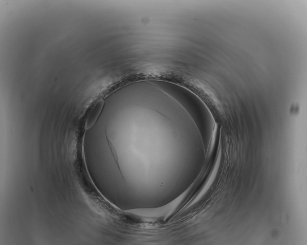 X0000094370496200711091541