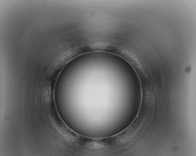 X0000094370498200711091541