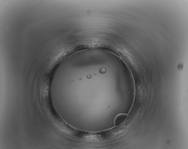 X0000094370499200711091541
