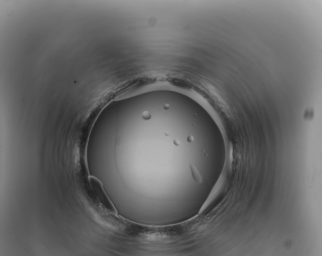 X0000094370500200711091541