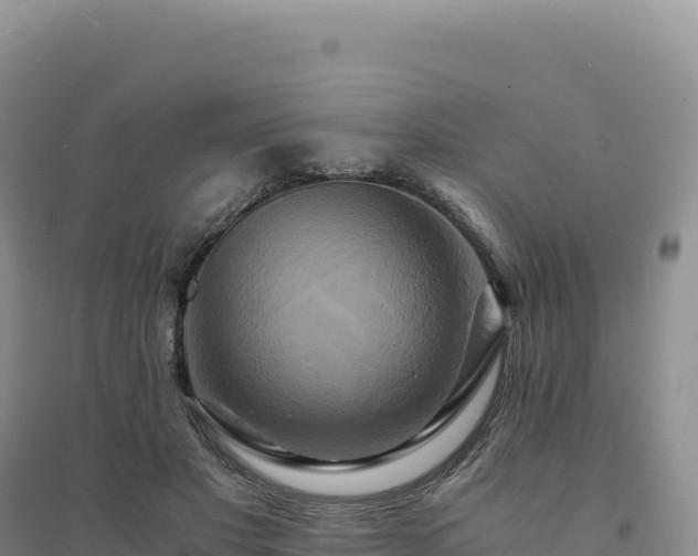 X0000094370501200711091541