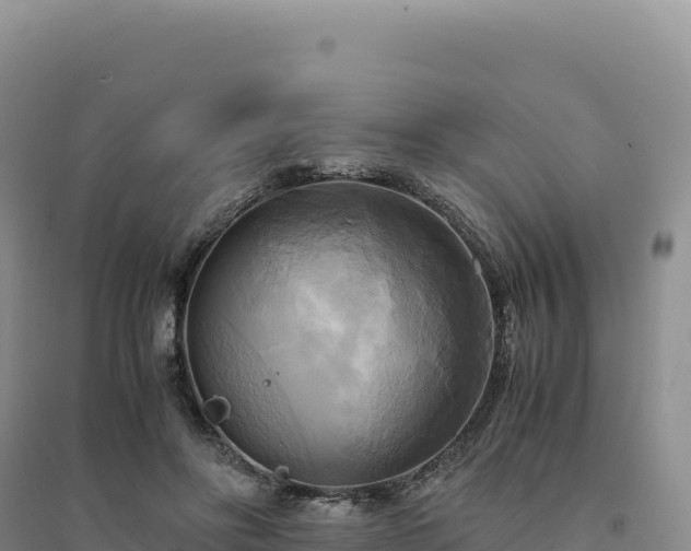 X0000094370502200711091541