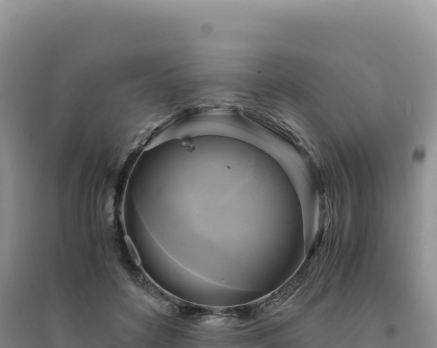 X0000094370504200711091541