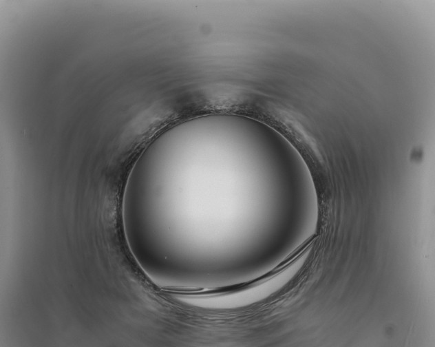 X0000094370505200711091541