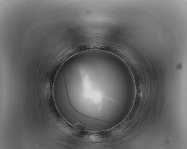 X0000094370506200711091541