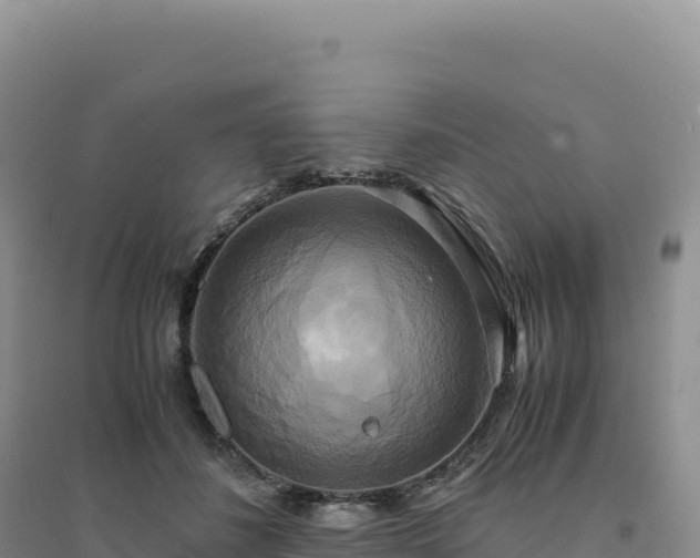 X0000094370508200711091541