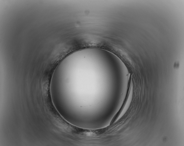 X0000094370509200711091541