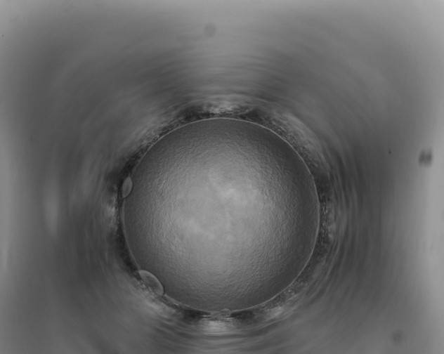 X0000094370510200711091541