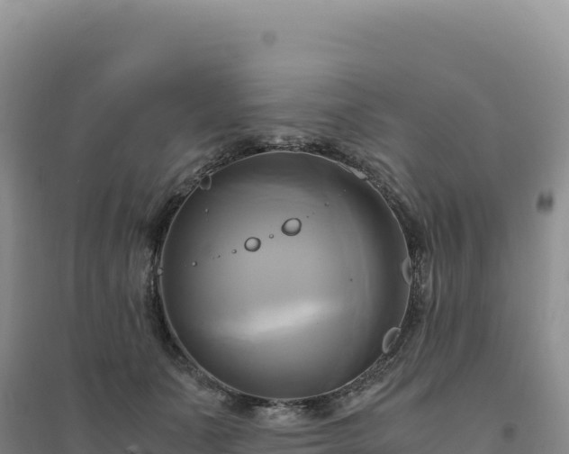 X0000094370511200711091541